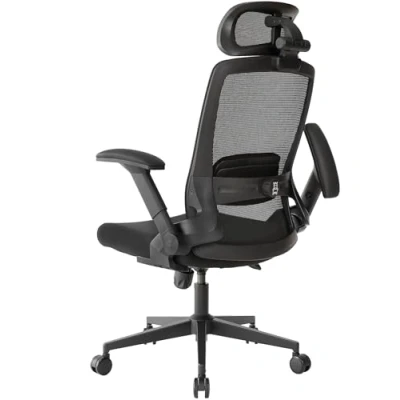 Image of Realm of Thrones VALOUR Ergonomic Office Chair for Home, Gaming Desk Chair, 3D Headrest/High Back Mesh/Comfort Cushion Seat/2D Rotating Armrests/Adjustable Lumbar Support/Heavy Duty Steel Base (Black)