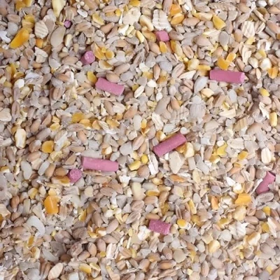 Image of Leagrams Premium No Grow Mess Wild Bird Seed Mix (5kg)