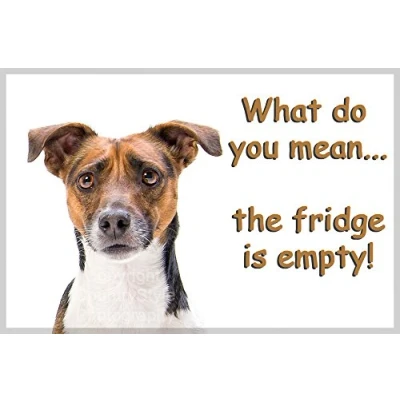 Image of Jack Russell Terrier Funny Fridge Magnet Gift perfect Birthday or Christmas