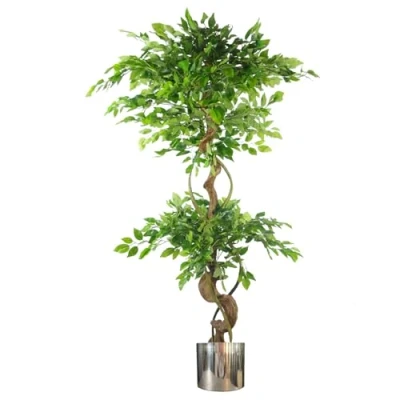 Image of 150cm Twisted Trunk Artificial Japanese Fruticosa Ficus Tree Silver Planter