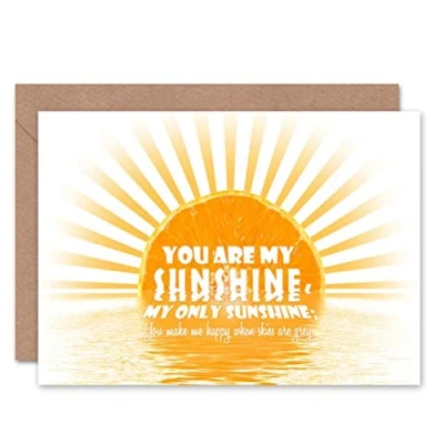Image of Wee Blue Coo YOU ARE MY SUNSHINE ORANGE SUN LOVE VALENTINES DAY BLANK BIRTHDAY CARD