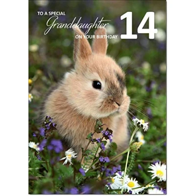 Image of doodlecards Granddaughter 14th Birthday Card Medium Size with Plain Envelope