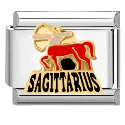 Image of Quiges 9mm Italian Style Charm Link Module Stainless Steel Horoscope Sagittarius for Bracelets