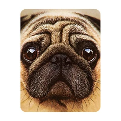 Image of 3D LiveLife Magnet Pug from Deluxebase. Lenticular Dog Fridge Magnet. Magnetic decor for kids and adults with artwork licensed renowned artist, David Penfound
