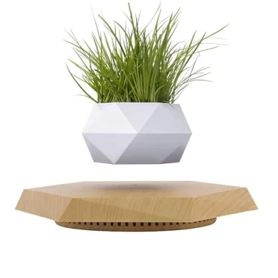 Image of ETRAVEL Wooden Levitating Plant Pot, Succulent Pots Planter Cactus Planter, Decor for Home &amp; Office Magnetic Floating Display,Marble (White)