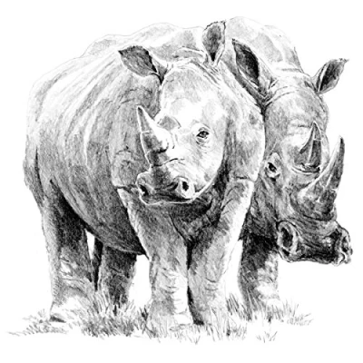 Image of Royal &amp; Langnickel Rhino Pair A4 Sketching Made Easy Art Project Kit
