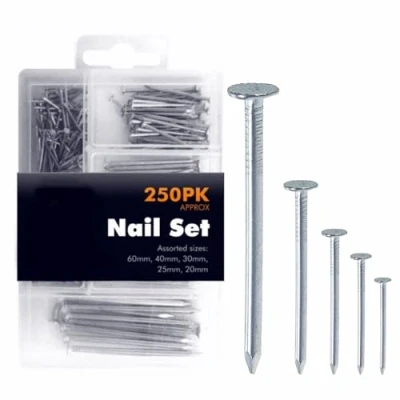 Image of Masonry Nails Heavy Duty Panel Pins with Box Hardware Assorted Set for Repair DIY Hanging Pictures Frame Woodwork Furniture and Construction Home Accessories Approximately (Pack of 250)