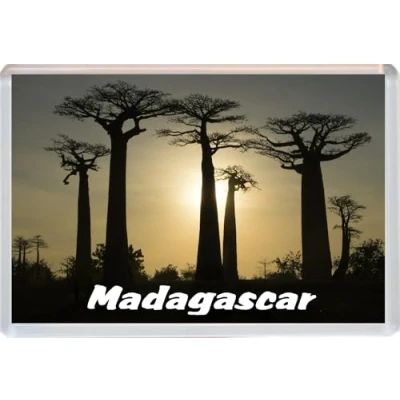 Image of Madagascar 96 x 67mm Jumbo Fridge Magnet/Magnets BBFHM926