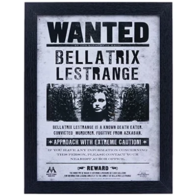 Image of Harry Potter FP10612P PL Framed Memorabilia, Bellatrix Wanted, 30 x 40cm