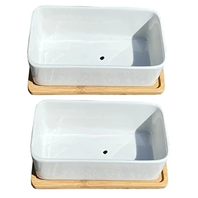 Image of White Succulent and Cactus Trough Plant Pots (Set of 2), Outdoor, Small