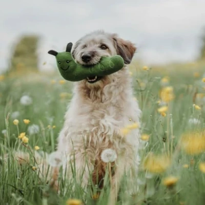 Image of HUNTER Florence Caterpillar Dog Toy 22 cm