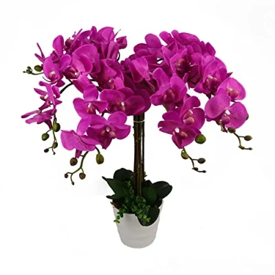 Image of Leaf Design UK Realistic Artificial Orchid Flower Display in Pot,Dark Pink,85cm