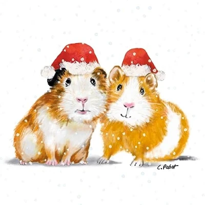 Image of 20 Napkins Christmas Hamster with Santa Hat as Table Decoration Paper Motif Also for Decoupage and 33 x cm