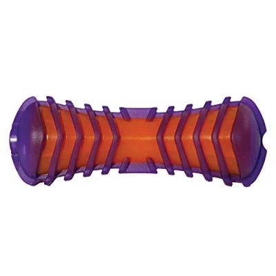 Image of Rosewood Jolly Doggy Giggle Toy Bone