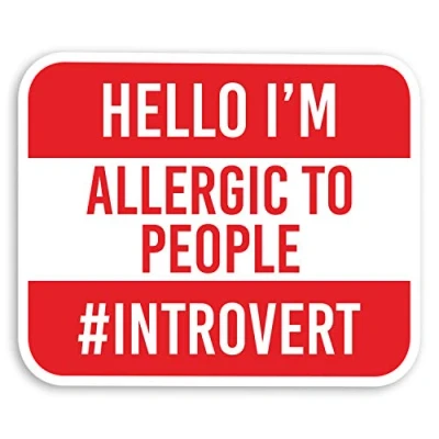 Image of 2 x 10cm Funny Introvert Quote Vinyl Stickers Joke Teen Laptop Sticker #29134