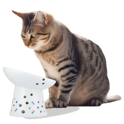 Image of Necoichi Extra Wide Raised Cat Food Bowl, Elevated, Prevent Neck &amp; Whisker Fatigue, Dishwasher and Microwave Safe, No.1 Seller in Japan! (Colorful Dots Limited Edition, Tilted)