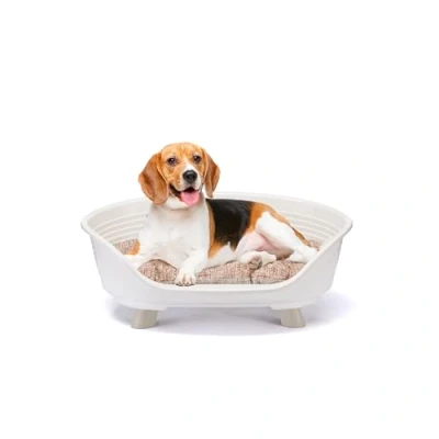 Image of Ferplast Dog Bed &amp; Cat with Cotton Cushion, Raised Bed, Plastic Medium, Washable, Basket, Breathable Antislip, THRONE 70,5 x 52 h 28,5 cm, White