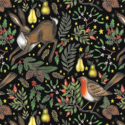 Image of Museums &amp; Galleries Pack of 8 Artistic Charity Christmas Cards Garden Hare and Robins Surrounded by Festive Foliage, multi, 160 x mm