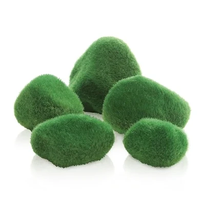 Image of biOrb pebble set moss covered