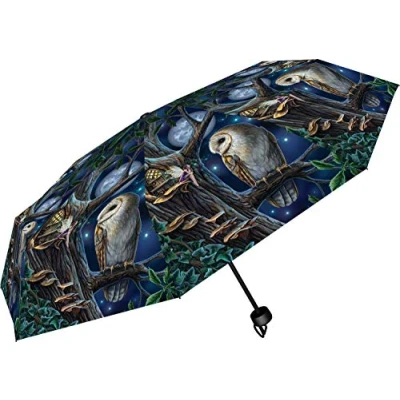 Image of Nemesis Now Lisa Parker Fairy and Owl Umbrella, plastic, metal, 190T pongee, Blue, One Size