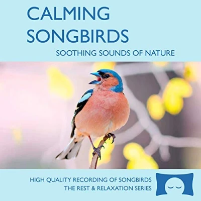Image of Calming Songbirds Nature Sounds Recording Of Bird Calls For Meditation, Relaxation and Creating a Soothing Atmosphere Nature&#039;s Perfect White Noise