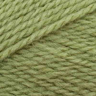 Image of Stylecraft Life DK 100g (2311 Fern)