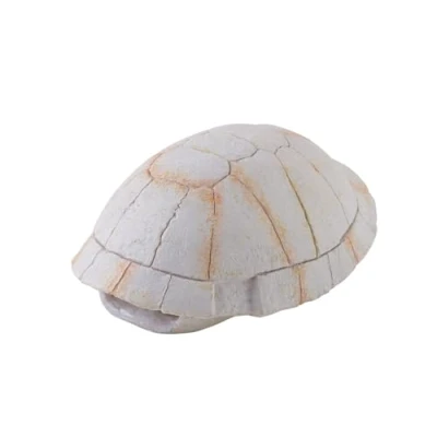 Image of Exo Terra Tortoise Skeleton