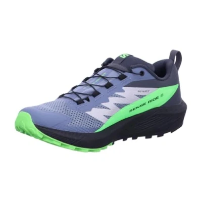 Image of Salomon Sense RIDE 5 GTX Trail running shoes, Men&#039;s, Size: 8.5, Flint stone/black/green gecko Textile/synthetics