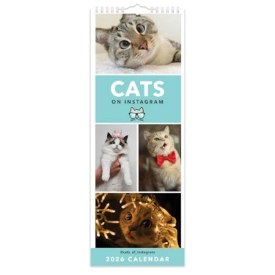 Image of Cats On Instagram Slim Calendar 2026