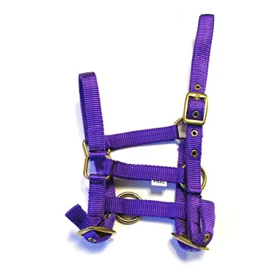 Image of Rhinegold Nylon Foal Headcollar Purple