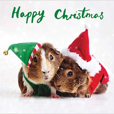 Image of Pack of 5 Christmas Joy Charity Cards Supporting Multiple Charities 457500