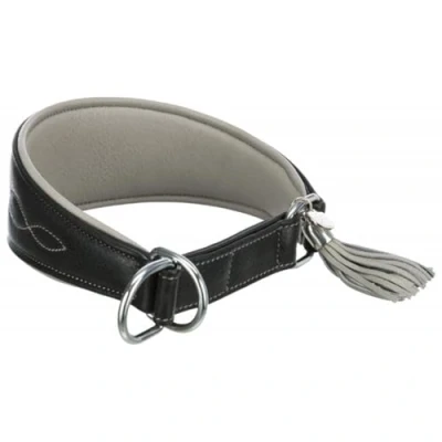 Image of TRIXIE Active Comfort Greyhound Collar Size XS: Neck Circumference 21 26 cm/40 mm in Black Extra Wide Dog for Very Small Dogs, Protects the Throat Area, Lined, 18960