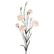 Image of Floralsilk 66cm Artificial Spray Carnation Pink/Cream