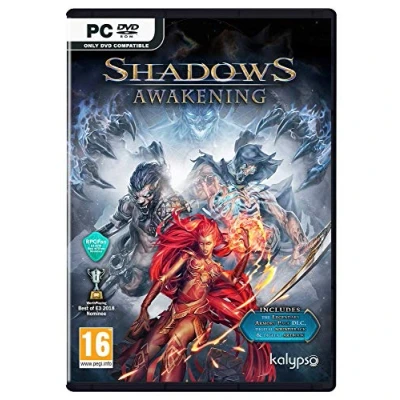 Image of Shadows Awakening Captivating RPG Adventure PC