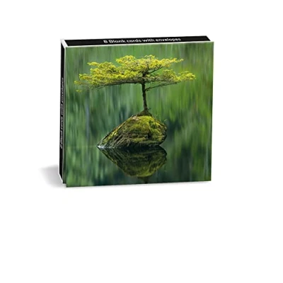 Image of Museums &amp; Galleries Wildlife Photographer of the Year Fairy Lake Fir 8 Mini Notecards Wallet