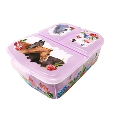 Image of Theonoi Children&#039;s Lunchbox, Sandwich Box with Compartments and Dividers, Nursery Lunchbox Made of BPA Free Plastic Horses