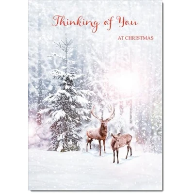 Image of doodlecards Thinking Of You Christmas Card Deer in Snow Forest Medium Size with Plain Envelope