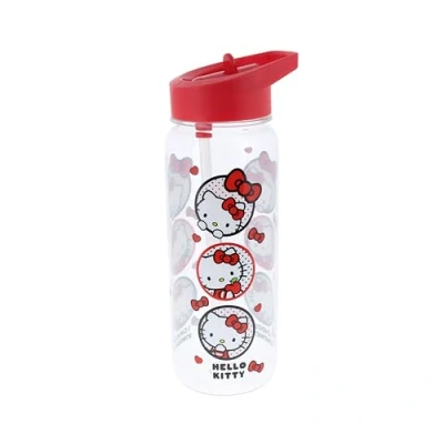 Image of Hello Kitty Water Bottle 450ml Capacity Stuff Kawaii Toys Sanrio Stationery