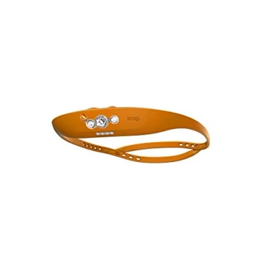 Image of Bandicoot Headlamp Orange