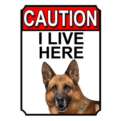 Image of CAUTION I LIVE HERE METAL GATE SIGN GERMAN SHEPHERD THEME 200MM X 150MM (1399H1)