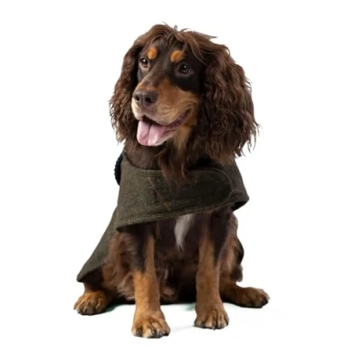 Image of HUGO &amp; HUDSON x HACKETT Tweed Dog Jacket Coat Corduroy Collar, Dark Green Checked Herringbone XS25