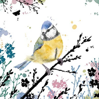 Image of RSPB Field &amp; Forest Card Blue Tit
