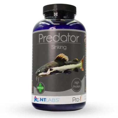 Image of NT Labs Pro f Predator Sinking, Monster Fish Food, Aquarium Fast Sinking Pellet, Nutritious Feed, SIZE 450 gm