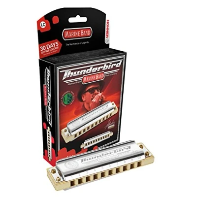 Image of Hohner M2011BX Thunderbird Harmonica, Key of Low B Flat