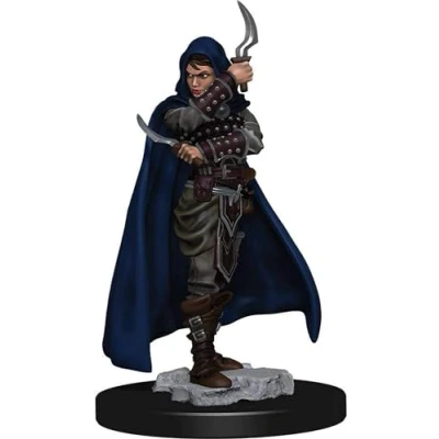 Image of Pathfinder Battles Female Human Rogue Pre painted Figure