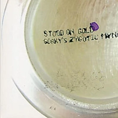 Image of Gorky&#039;s Zygotic Mynci Stood On Gold 2001 UK CD single MNT64CD