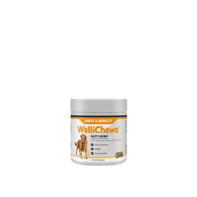 Image of Wellichews Glucosamine for Medium &amp; Large Dogs Dog Joint Supplement with Glucosamine, Chrondroitin MSM Inflammatory Pain Relief Soft Chews Hip Joints 60