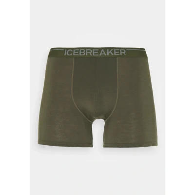 Image of Icebreaker Anatomica Pants, Men&#039;s, Size: Medium, Loden