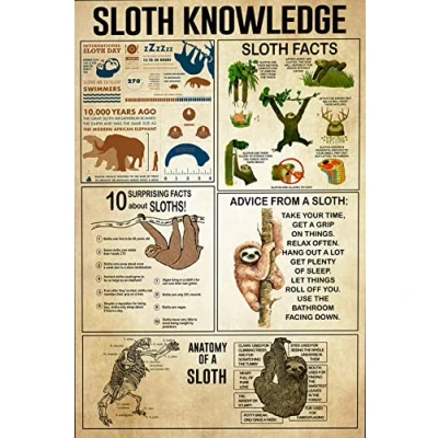 Image of Bioprocess Sloth Knowledge Digital Print, Types Of Sloths Poster, Knowledge, Animal, Digital, Nursery Poster Wall Decor Kitchen Metal Sign 8X12 Inches
