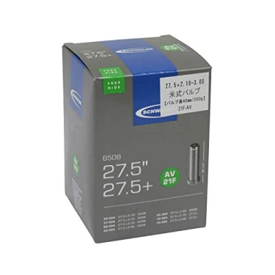 Image of Schwalbe AV21F Tube Schrader Lightweight 200 g 27.5 x 2.10 2.30 Inches